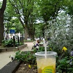 モスバーガー - ムシムシする　ヤブ蚊もわんさか寄ってくる