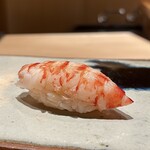 鮨 つぼみ - 車海老 鹿児島 約32g
      軽く一口で食べられるこのサイズが好き♡
      茹で加減はレアな仕立て、めちゃ美味しい！