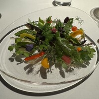 レフェルヴェソンス - 