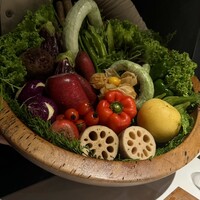 レフェルヴェソンス - 