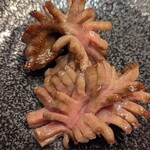 肉の匠 将泰庵 - 