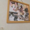 武市屋 のらねこ庵 - 