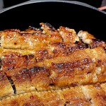 きくの商店 - カリふわです‪ෆ‪.*･ﾟ