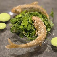 RESTAURANT SALT - 