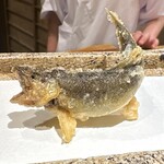 日本橋 蕎ノ字 - 若あゆ