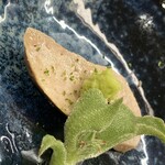 鮨処 暁 -akatsuki- - 