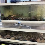 おかもと鮮魚店  - 生簀