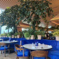 The Blue Room - 