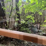森のそば屋 清エ門 - 席から見た庭