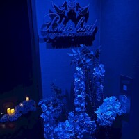 渋谷 Blue bird - 