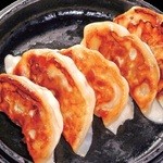 Fried Gyoza / Dumpling