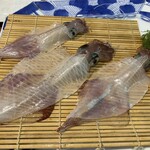 海中魚処 萬坊 - 