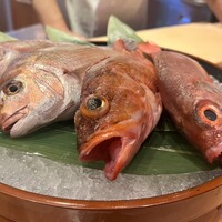 泉岳寺門前 紋屋 - 