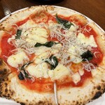 フォルトゥーナ - 