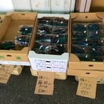 Watanabe - ぶどう、藤稔も購入