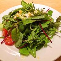 オービカ モッツァレラバー 横浜店 - 