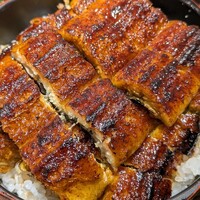 うなぎ料理 澤正 - 