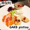 GARB pintino