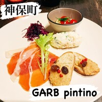 GARB pintino - 