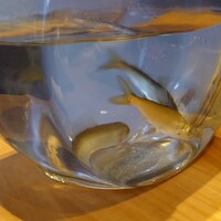 小熊 - ③