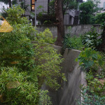 旬采 - 窓からの眺め @６：１５pm