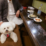 旬采 - おっと失礼！