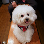 ご挨拶できたわネッ！