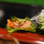 宝寿司分店 - 赤貝