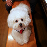 旬采 - お行儀よく ”こんばんは”