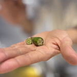 てんぷら てらおか - オクラの蕾