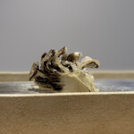 てんぷら てらおか - 舞茸