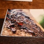 MAZ - お料理と共にカードがテーブルに置かれ、イメージしながらいただきます。