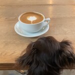 ハチイチゴ コーヒー スタンド - 