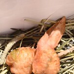 デンクシフロリ - 