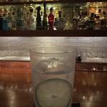 ザ・コモン・ワン・バー・キョウト - 