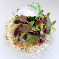 ワインラウンジ＆レストラン セパージュ 名古屋店 - 