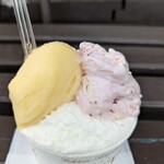 アリエッタ デル ジェラート - 