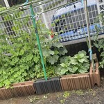 インデアンレストラン  ニューミラ - 