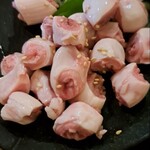 関内もつ肉店 - コブクロ刺し