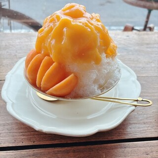 ヨリドコロヒヨリ_0