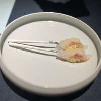 セルサルサーレ - 