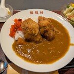 鶏龍軒 - 「とんかつ完全ロース派」も納得のヒレカツ。しっとりしてて美味しい。