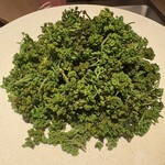 銀座ふじやま - 