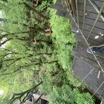 リゾナーレ熱海 - 