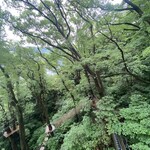 リゾナーレ熱海 - 