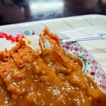 味楽 - 衣が完全には隠れない、ルーの掛け方が良い感じ。