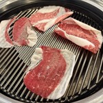 303982762 - チャドルバギ