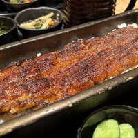 うなぎ四代目菊川 ヒルトンプラザウエスト大阪店 - 