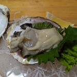 くつろぎ亭ひこべえ  - 岩牡蠣