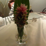 IL TEATRINO DA SALONE - クルクマ　タイの花